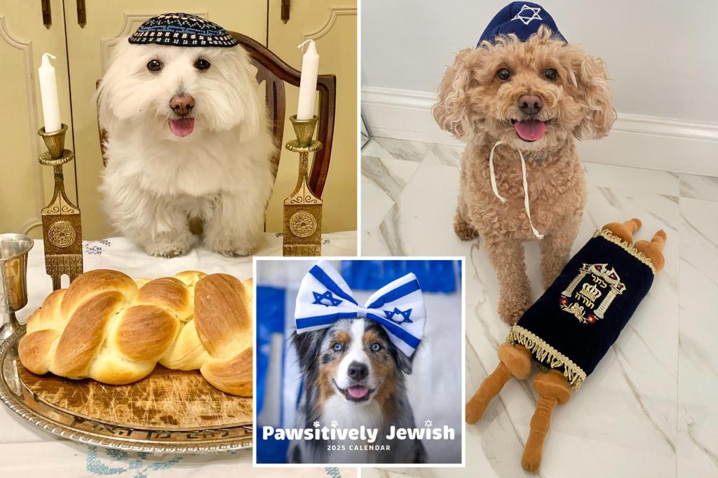 Exclusive | The first Pawsitively Jewish calendar features famous dogs on Instagram just in time for the high holidays